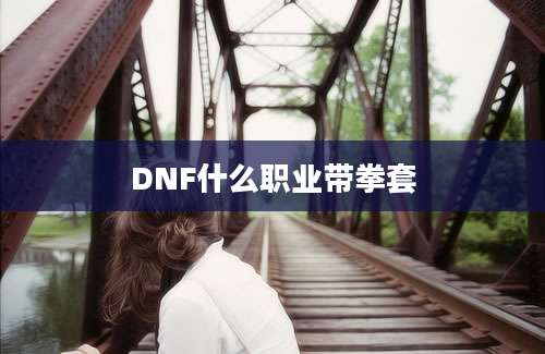 DNF什么职业带拳套