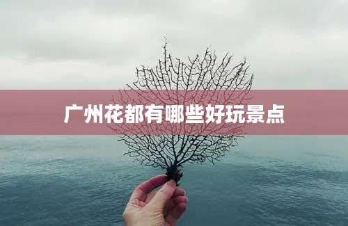 广州花都有哪些好玩景点