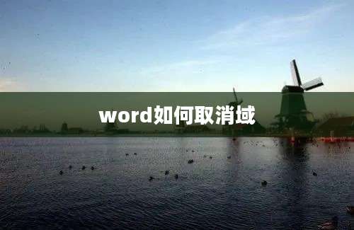 word如何取消域