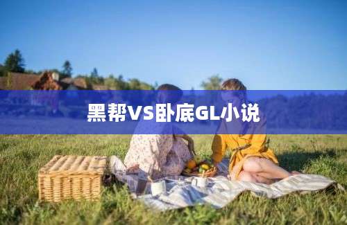 黑帮VS卧底GL小说