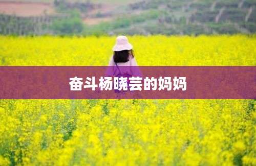 奋斗杨晓芸的妈妈