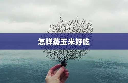 怎样蒸玉米好吃