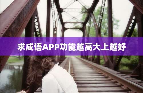 求成语APP功能越高大上越好