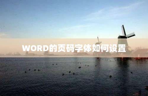 WORD的页码字体如何设置