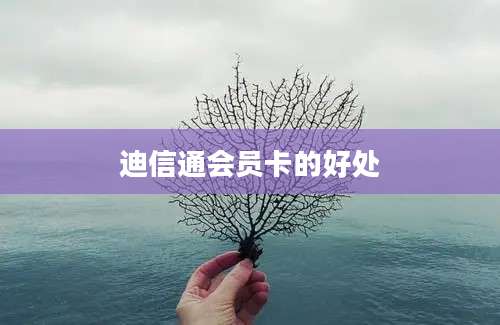 迪信通会员卡的好处