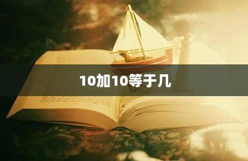 10加10等于几