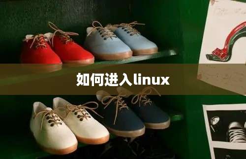 如何进入linux