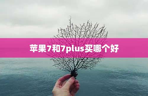 苹果7和7plus买哪个好