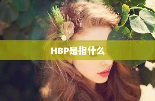 HBP是指什么