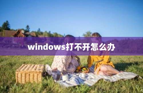 windows打不开怎么办