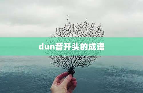 dun音开头的成语