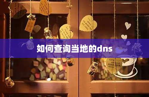 如何查询当地的dns