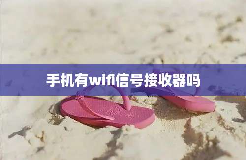 手机有wifi信号接收器吗