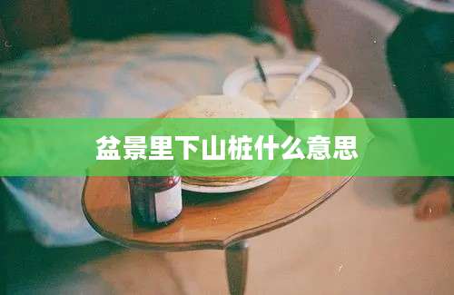 盆景里下山桩什么意思