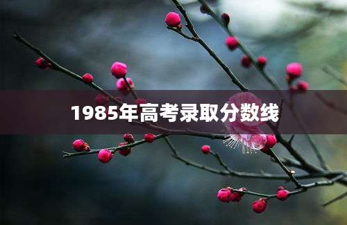 1985年高考录取分数线