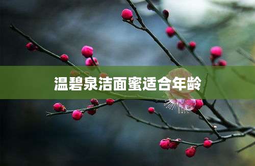 温碧泉洁面蜜适合年龄