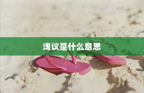 浅议是什么意思