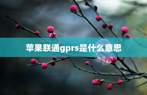 苹果联通gprs是什么意思