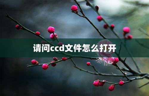 请问ccd文件怎么打开