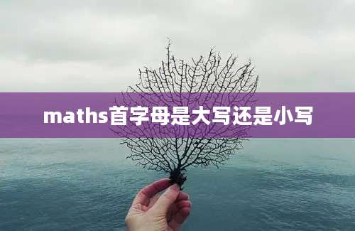 maths首字母是大写还是小写