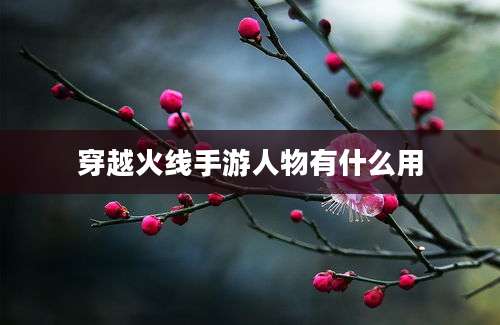 穿越火线手游人物有什么用