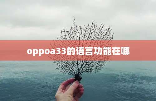 oppoa33的语言功能在哪