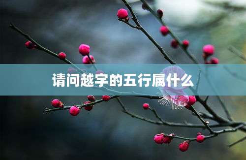 请问越字的五行属什么