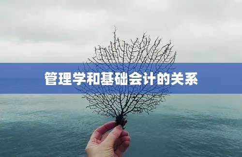 管理学和基础会计的关系