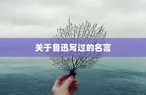 关于鲁迅写过的名言