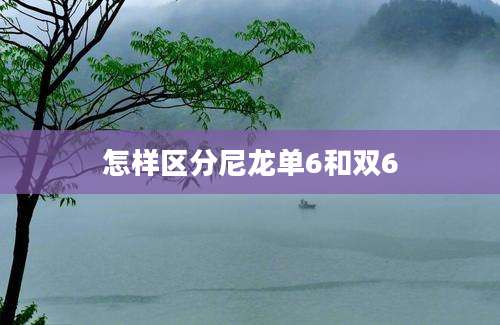 怎样区分尼龙单6和双6