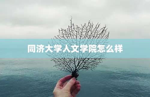 同济大学人文学院怎么样