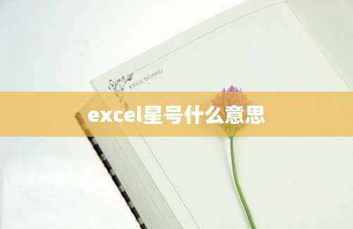 excel星号什么意思