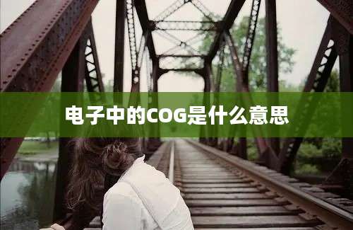 电子中的COG是什么意思