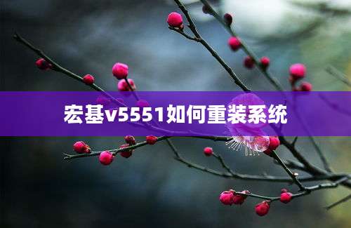 宏基v5551如何重装系统