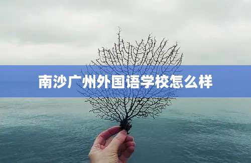 南沙广州外国语学校怎么样