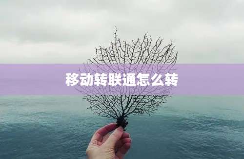 移动转联通怎么转