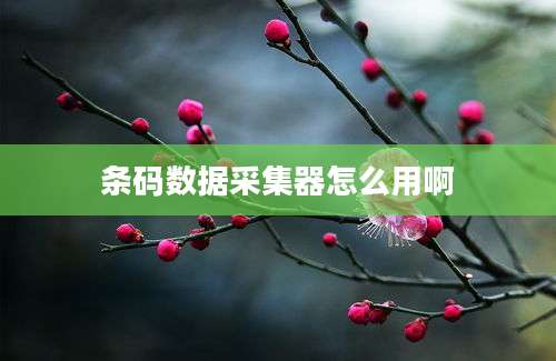 条码数据采集器怎么用啊