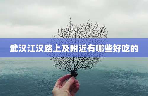 武汉江汉路上及附近有哪些好吃的