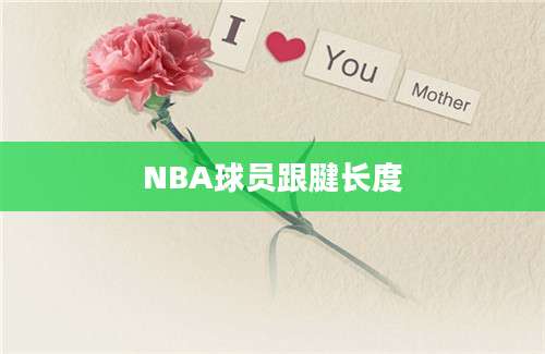 NBA球员跟腱长度