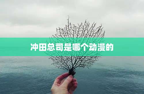 冲田总司是哪个动漫的