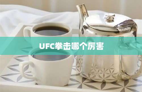 UFC拳击哪个厉害