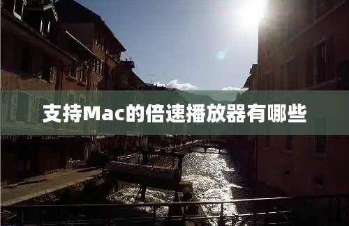 支持Mac的倍速播放器有哪些