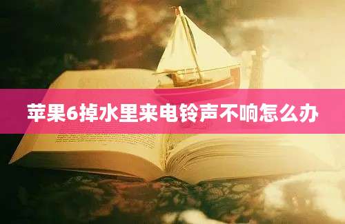 苹果6掉水里来电铃声不响怎么办