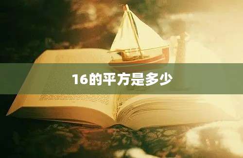 16的平方是多少