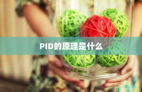 PID的原理是什么