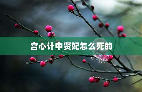 宫心计中贤妃怎么死的