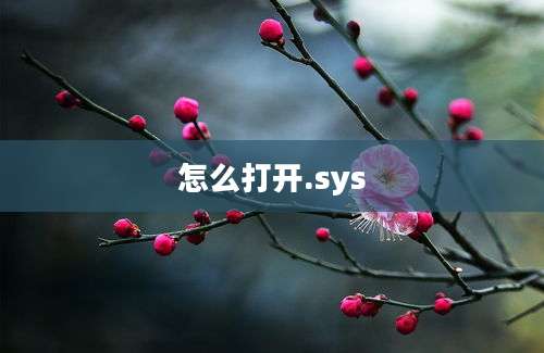 怎么打开.sys