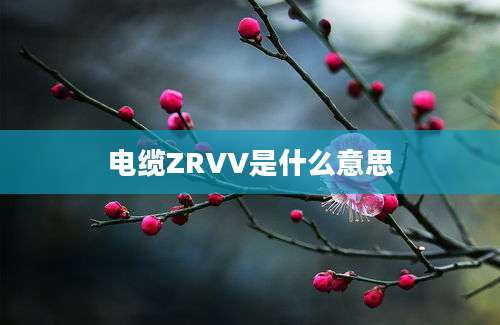 电缆ZRVV是什么意思