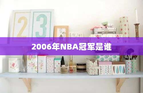 2006年NBA冠军是谁