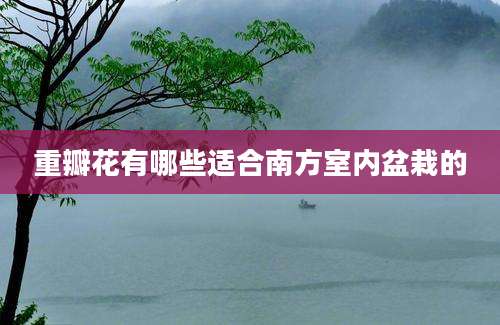 重瓣花有哪些适合南方室内盆栽的